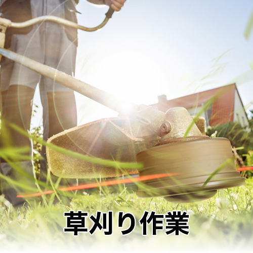 便利屋津山金太郎_草刈り作業